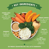 Lily's Kitchen Wholesome Veggie Feast for Dogs 375g