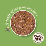 Lily's Kitchen Wild Campfire Stew for Dogs 150g