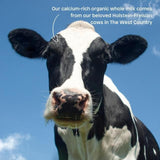 Little Freddie Organic Sweet Potato & Carrot Yoghurt Pouch 6 mths+ 100g