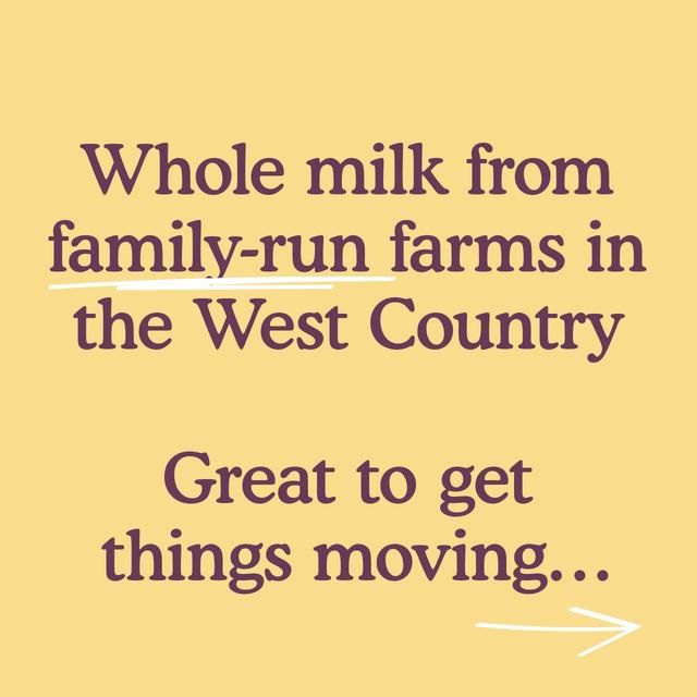 Little Freddie Prune Greek Style Yoghurt with Oats Organic Pouch 6 mths+ 100g