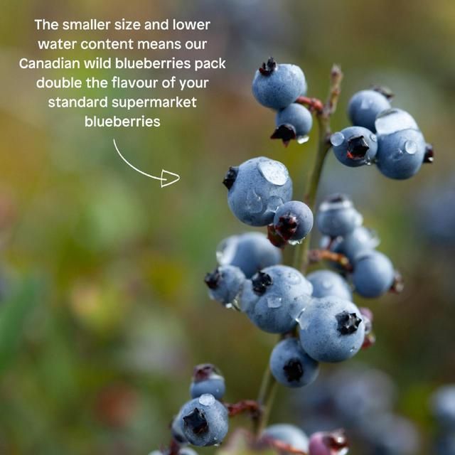 Little Freddie Strawberries Blueberries & Oats Organic Pouch 6 mths+ 100g