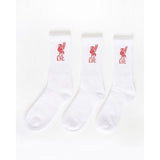 Liverpool FC Adult Sports Socks (Pack of 3) (8-11)