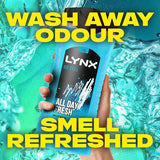 Lynx Bodywash Shower Gel Ice Chill 500ml