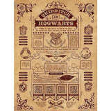 Harry Potter Quidditch At Hogwarts Framed Canvas Print