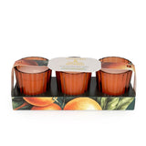 Candlelight Set of 3 Ribbed Mini Candles - Mandarin & Orange Blossom
