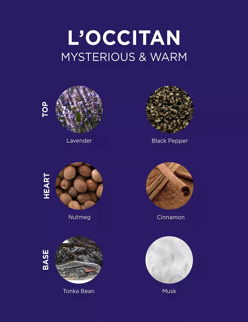 Mens Eau de Toilette 75ml