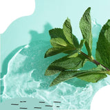 Miniml Toilet Cleaner - Spearmint & Peppermint 5L