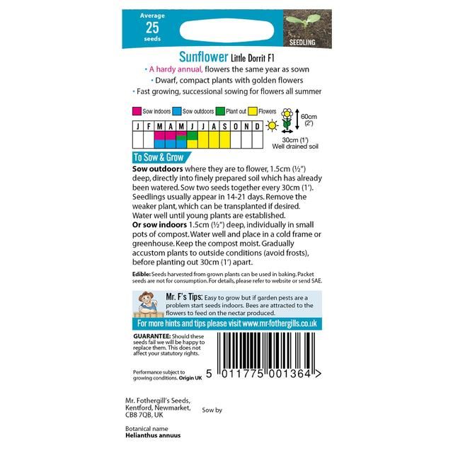 Mr Fothergills Sunflower Little Dorrit F1 Seeds