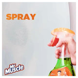 Mr Muscle Platinum Window & Glass Spray 750ml