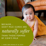 Nannycare 2 Follow on Goat Milk based Powder 6 mths+ 900g