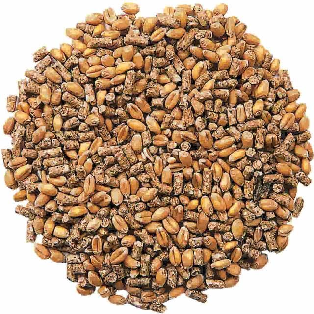 National Trust CJ Wildlife Duck & Swan Blend 1.5L