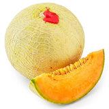 Natoora Sweet Italian Melon