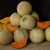 Natoora Sweet Italian Melon