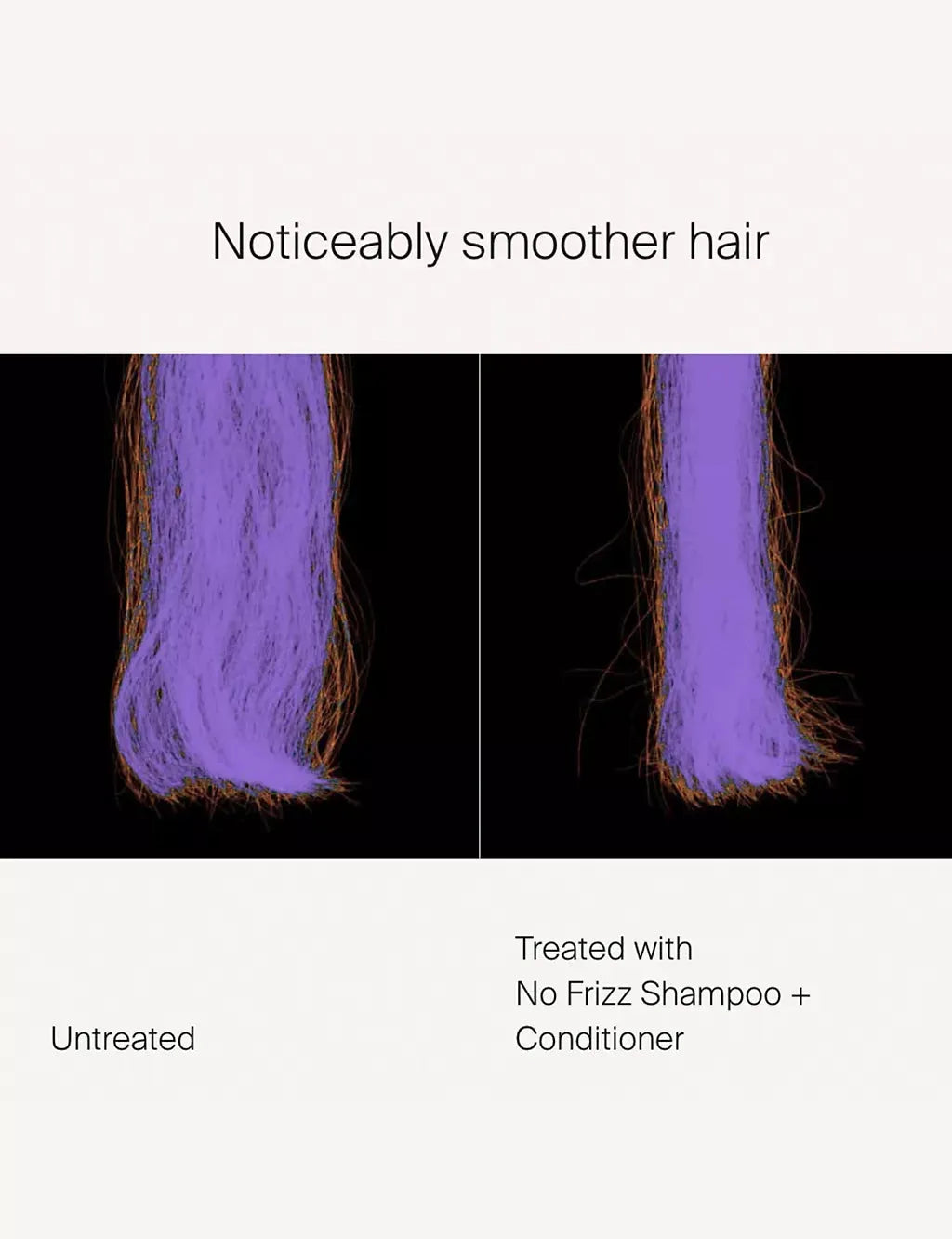 No Frizz Shampoo 236ml