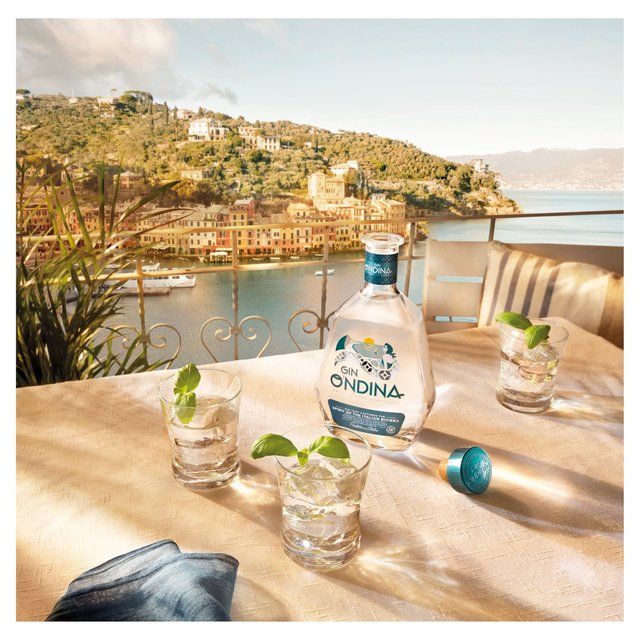 O'ndina Gin - Small Batch Super Premium Italian Gin 70cl