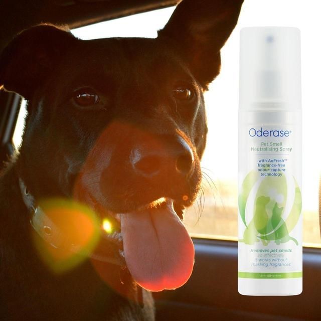 Oderase Pet Smell Neutralising Spray 200ml