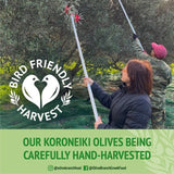 Olive Branch Greek Extra Virgin Olive Oil 500ml