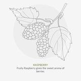 Organic Children Berry Smoothie Conditioner 200ml