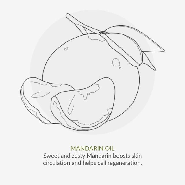 Organic Children Lavender Conditioner 200ml