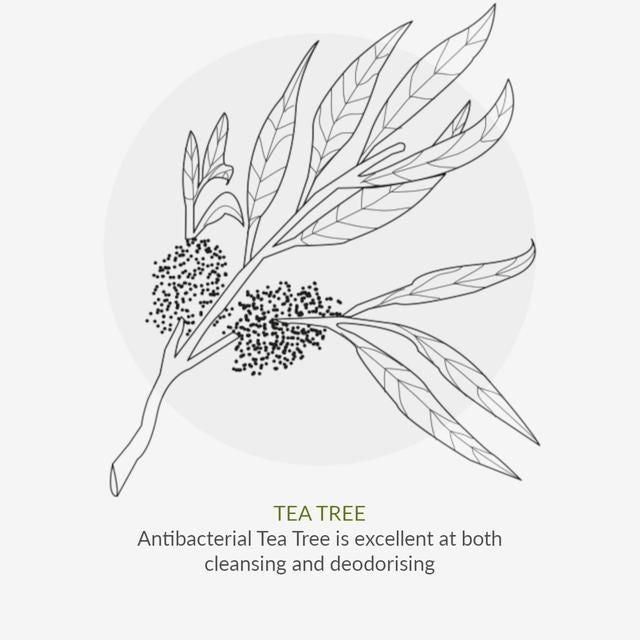 Organic Children Lavender Shampoo 220ml