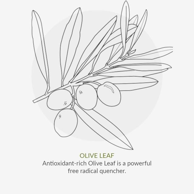 Organic Children Spearmint & Aloe Vera Fluoride Free Toothpaste 50ml