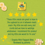 Organix Mini Organic Oat & Banana Flapjack Toddler Snacks Multipack 4 x 20g
