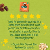 Organix Mini Organic Oat & Raisin Flapjack Toddler Snacks Multipack 4 x 20g