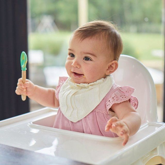 Organix Tasty Garden Veggie Bowl Baby Food 7 months 130g