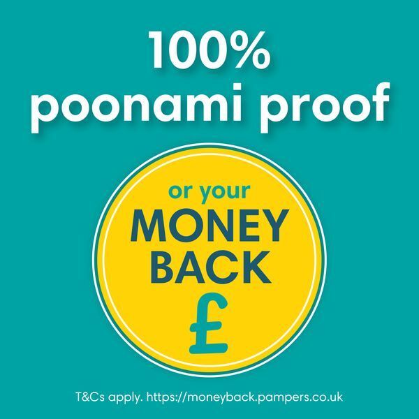 Pampers Baby-Dry Nappy Pants Size 4 Nappies Carry Pack x23