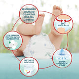 Pampers Harmonie Nappies Pants Size 6 Essential Pack 19 per pack