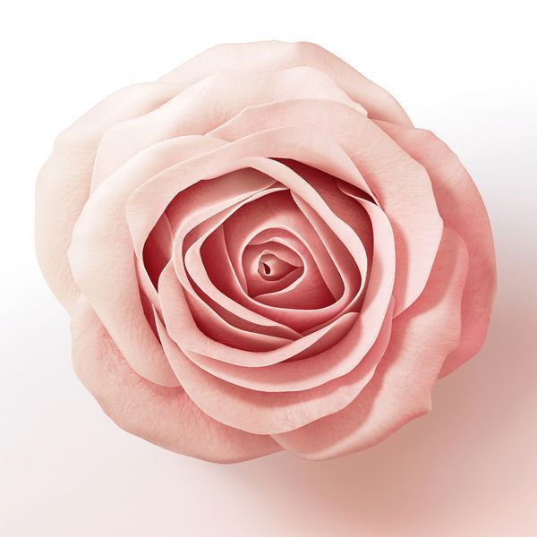 Pantene Lift & Volume Hair Conditioner, Biotin, 275ml