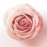 Pantene Lift & Volume Shampoo Biotin & Rose Water 400ml