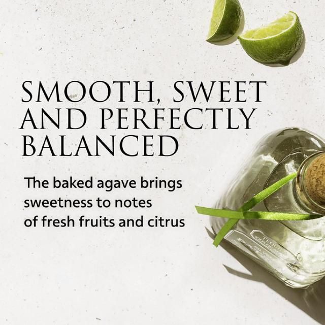 Patron Silver Tequila 35cl