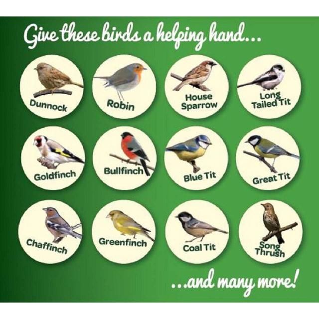 Peckish Complete Seed And Nut No Mess Wild Bird Food Mix 12.75kg