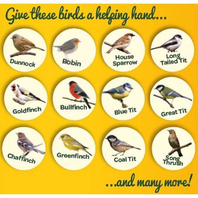 Peckish Complete Suet Cake Block For Wild Birds 300g