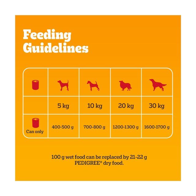 Pedigree Adult Wet Dog Food Tins Mixed in Jelly 6 x 400g