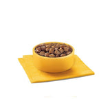 Pedigree Wet Dog Food Pouches with Beef Liver and Vegetables in Gravy 12 x 100g