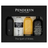 Penderyn Tasting Gift Set 4 x 5cl