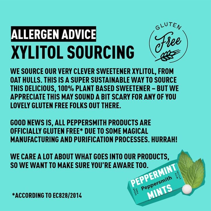 Peppersmith Sugar Free Spearmint Chewing Gum 15g Peppermint / 50 g