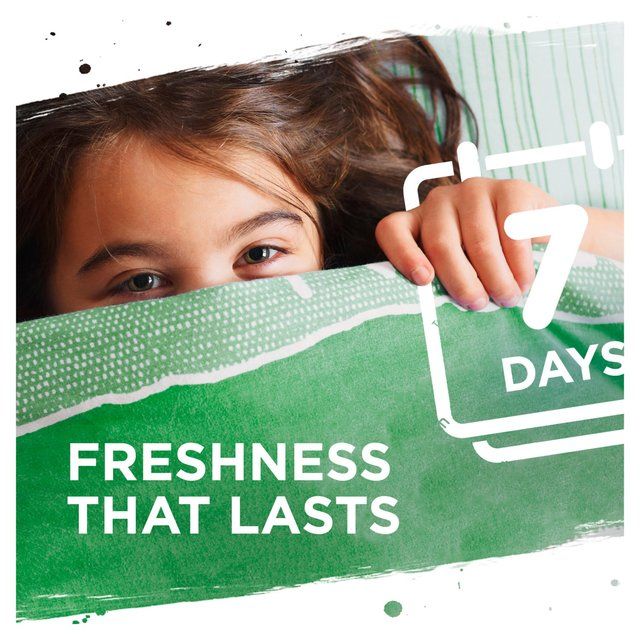 Persil Laundry Washing Liquid Detergent Bio 24 Wash 648ml