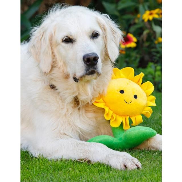 Petface Buddies Sunflower Dog Toy