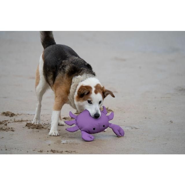 Petface Planet Ocean Cycle Callum Crab Plush Dog Toy