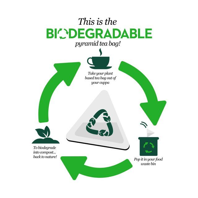 PG Tips Original Biodegradable Black Tea Bags 80 per pack