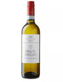 Pinot Grigio - Case of 6