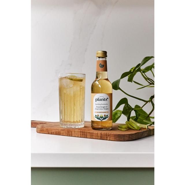Plants by Deliciously Ella Ginger and Mint Mojito Kombucha 250ml