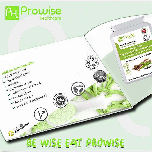 Prowise KSM-66 Ashwagandha 500mg 90 Capsule