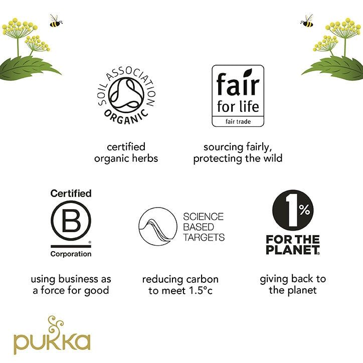 Pukka Organic Radiance 20 Tea Bags