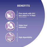 Purina ONE Sensitive Dry Cat Food Turkey and Rice 2.8kg