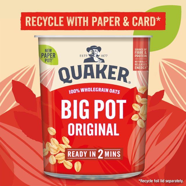 Quaker Oat So Simple Original Porridge Cereal Big Pot 60g