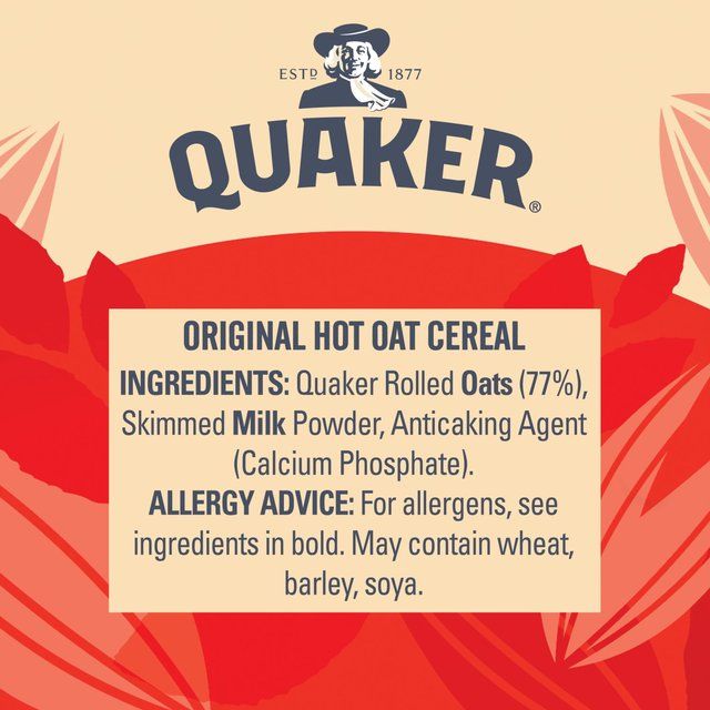 Quaker Oat So Simple Original Porridge Cereal Big Pot 60g